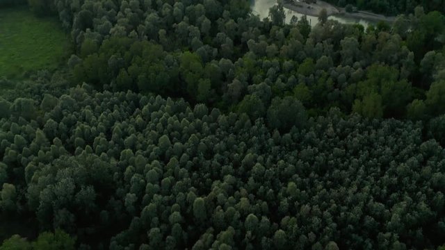 4K Aerial : Fast tilt camera movement revealing typical italian country near a small forest