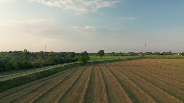 4K Aerial : Cinematic shot flying backwards over a field of alfalfa in sunset