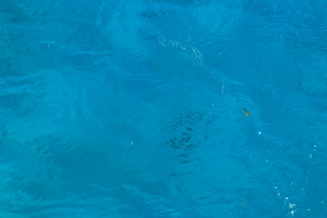 Blue water texture