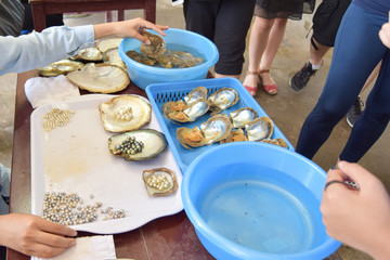 Woman working on extracting pearls from oyster shells. Vietnamese factory near Ha Long Bay