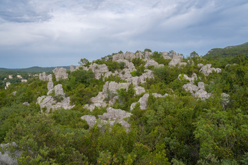Fototapeta na wymiar Sauve, France - 06 06 2019: Panoramic view of green vegetation in the sea of rocks