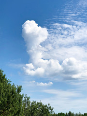 Blue sky with beautiful clouds. Abstract blue sky background.