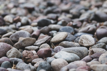 pebbles2