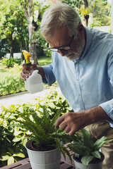 Naklejka na ściany i meble senior man happiness take care of flower at balcony near garden at nursing home for retirement
