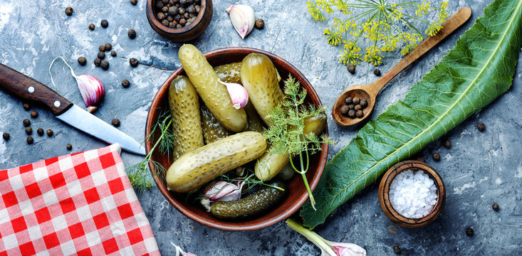 Plate With Pickled Cucumbers