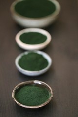 Spirulina algae. dry powder in  cups set on black wooden background.organic spirulina algae powder.Super food concept.Spirulina bacterium - algae, nutritional supplement.