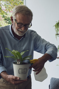 senior man happiness take care of flower at balcony near garden at nursing home for retirement