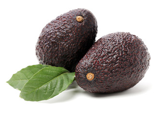 Avocado on a white background