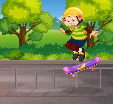 A monkey playing skateboard