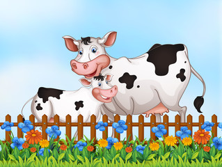 Cow family at the garden