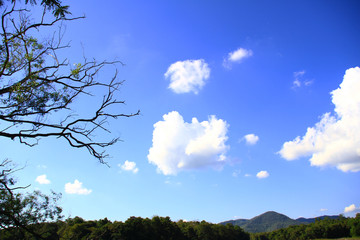 Blue sky and clouds on the mountain with branches and trunk of trees. natural background.