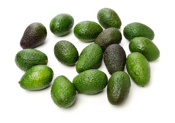 Avocado on a white background
