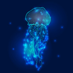 Transparent glowing neon blue and turquoise medusa blubber jellyfish set decorative background poster © Yuliya