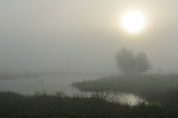 Picturesque fairy sunrise over a misty meadow in summer morning