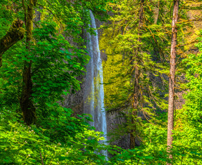 Beautiful Morning Hike to Latourell Falls on Columbia Gorge in Portland, Oregon