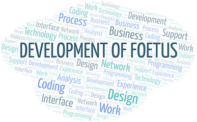 Development Of Foetus word cloud. Wordcloud made with text only.