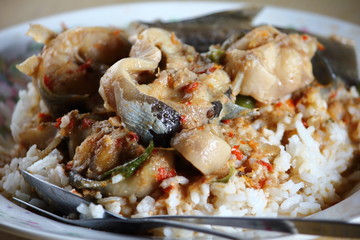 Catfish curry with rice in thai food