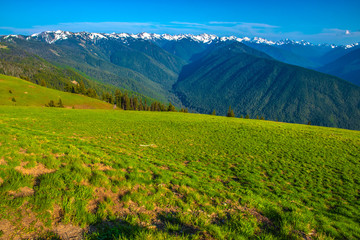 Fototapeta premium Beautiful Clear Skies Over the Mountain in Olympic National Park, Washington