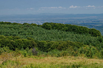 Fototapeta na wymiar Panorama of glade and green mix forest in Vitosha mountain and part at Sofia city in front of Balkan mountain, Bulgaria 