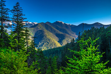 Fototapeta na wymiar Beautiful Clear Skies Over the Mountain in Olympic National Park, Washington