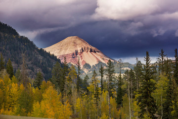 Fototapeta premium Autumn in Colorado