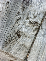 Panels and wooden boards of a rural house, used for doors, windows and cellars, painted and eroded by time, Italy.