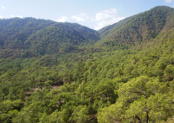 Mountain southern summer landscape. View of the green hills and cliffs.