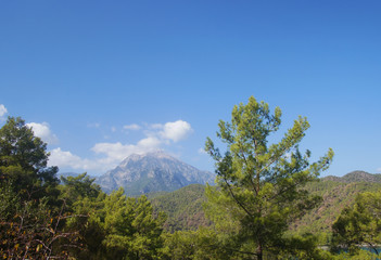 Mountain southern summer landscape. View of the green hills and cliffs.