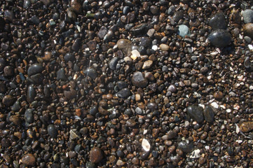 Sea pebbles in the sun close-up.
