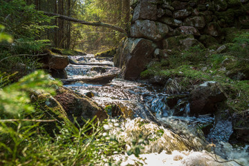 Small stream through a nature reserve © Björn Kristersson