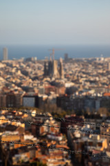 Focused barbed wire with the city of Barcelona blurred in background