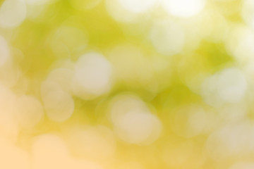 Background material of natural ball bokeh　自然の玉ボケの背景素材