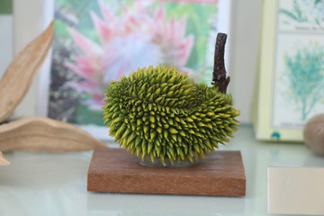 Fresh natural durian fruit on a wooden board. Tropical tasty fruit from Asia. Organic exotic food.