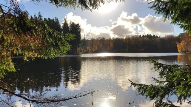 295 Sun reflecting in the autumn forest lake