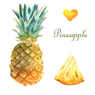 Watercolor tropical illustration with pineapple on a white background