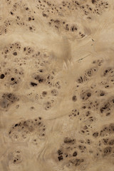 Texture of wood, wooden background. wooden texture wallpaper