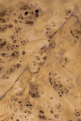 Texture of wood, wooden background. wooden texture wallpaper