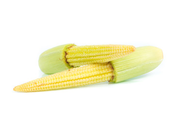 baby corn isolated on white