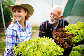 Grandfather growing organic vegetables with grandchildren and family at farm