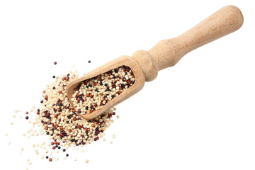 quinoa in a wooden spoon isolated on white background. quinoa seed