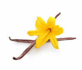 Vanilla pods and orchid flowers isolated