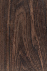 Texture of wood, wooden background. wooden texture wallpaper