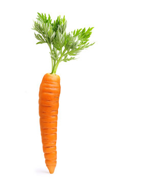 Carote su sfondo bianco - Carrots on white background Stock Photo