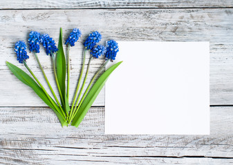 spring flowers and place for text, greeting card