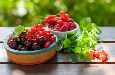 Summer dessert mix of berries in the summer garden