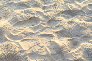 Footprints in the sand background.