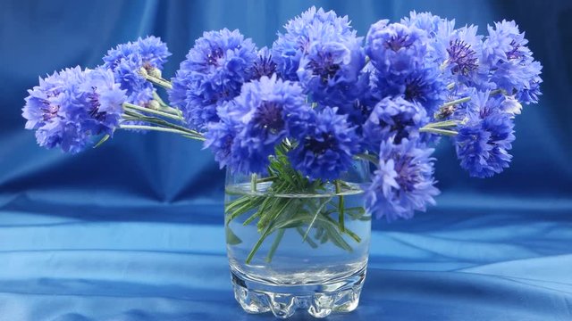 Bouquet of blue cornflowers in the glass vase on the background of blue silk fabric