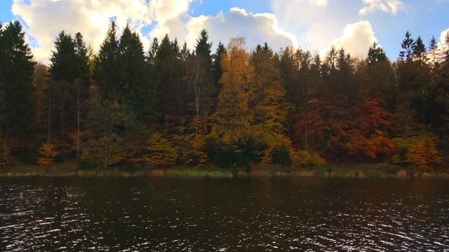 298 Golden Autumn forest near the lake