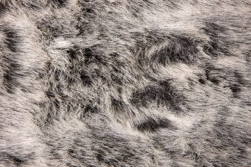 Background from natural fur. Animal Hair Background. Black and White Background.