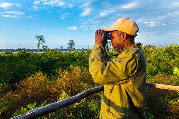 Ranger, Viewing tower, Kasanka Bat migration, Kasanka National Park, Serenje, Zambia, Africa